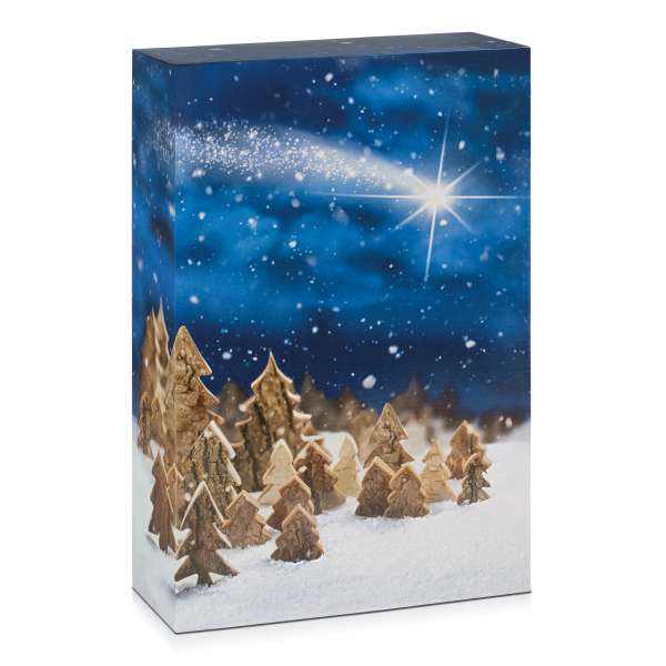 Geschenkverpackung 3er Faltschachtel für Weihnachten "Winterwald"